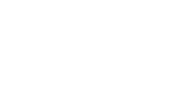 PROJECT FLOW